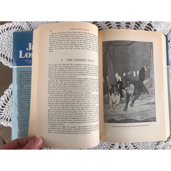 1980 Jack London Hardcover Collection: Call of the Wild, White Fang - Picture 4 of 5